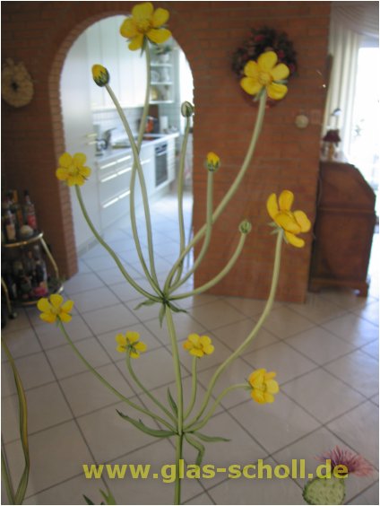 (c) 2005 www.Glas-Scholl.de